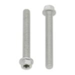 Bolt Euro Torx 6x20mm Flange Bolt (Packet of 10) Refill