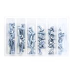 Bolt Workshop Service Kit: M6 Pan Head Phillips