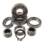 Cylinder Works Transmission Bearing Kit