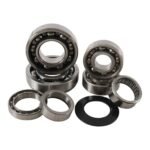 Cylinder Works Transmission Bearing Kit