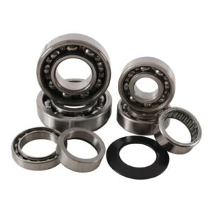 Cylinder Works Transmission Bearing Kit