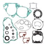 Vertex Complete Gasket Set with Oil Seals (811259)