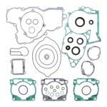 Vertex Complete Gasket Set with Oil Seals (811325)
