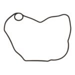 Ignition Cover Gasket Kit 816330
