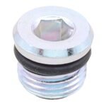 WMP Magnetic Drain Plug M10 x 6.9 - P1.0